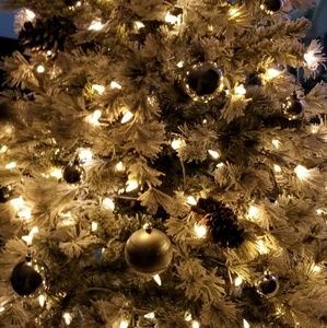 Meet your Posher, Liliana